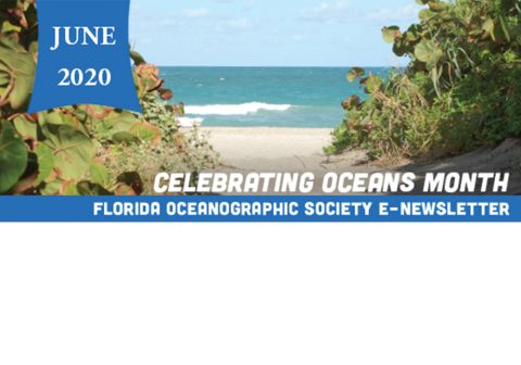 Florida Oceanographic Society | News